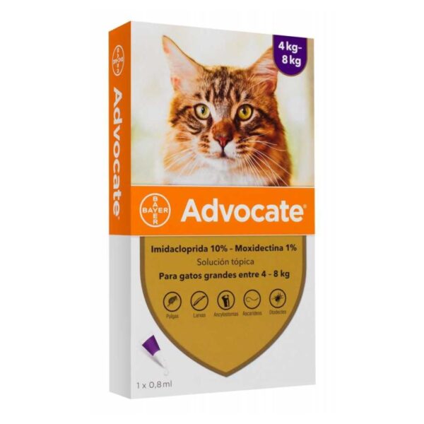 Bayer Advocate bitə və birəyə qarşı 4-8 kiloya qədər pişiklər üçün