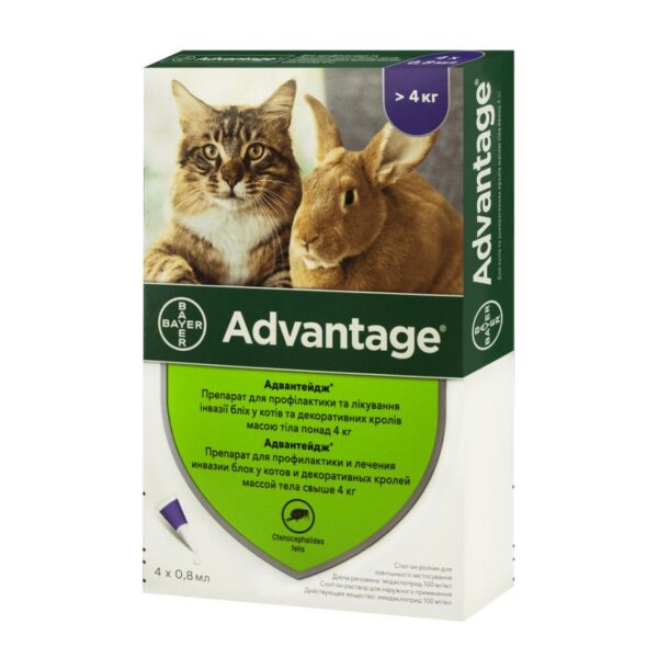 Bayer Advantage - bitə birəyə qarşı 4  kq ağır pişiklər üçün