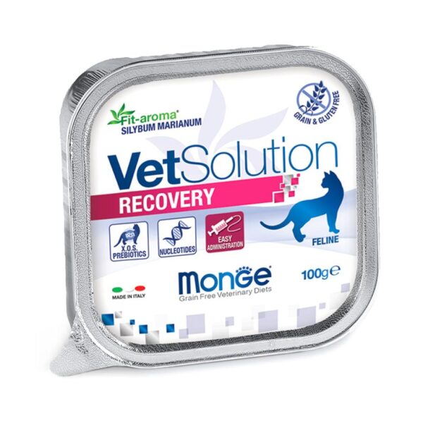 Monge VetSolution Pişiklər üçün Cat Recovery pəhriz Recovery, lamister 100 q